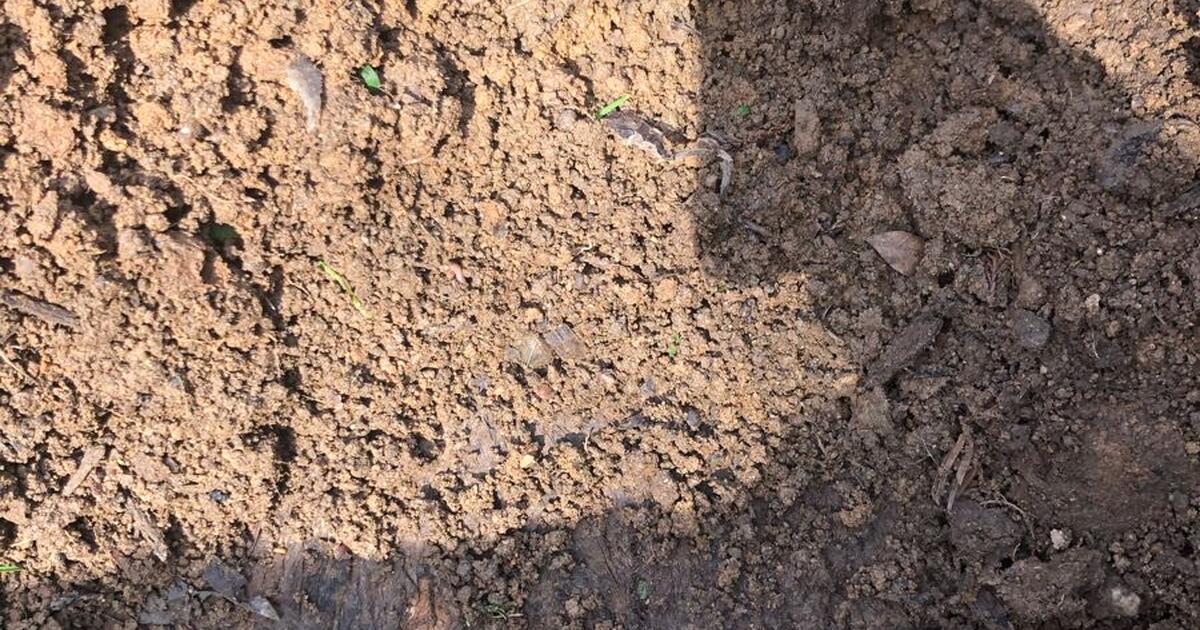 Dirt for Free in Fresno, CA Finds — Nextdoor