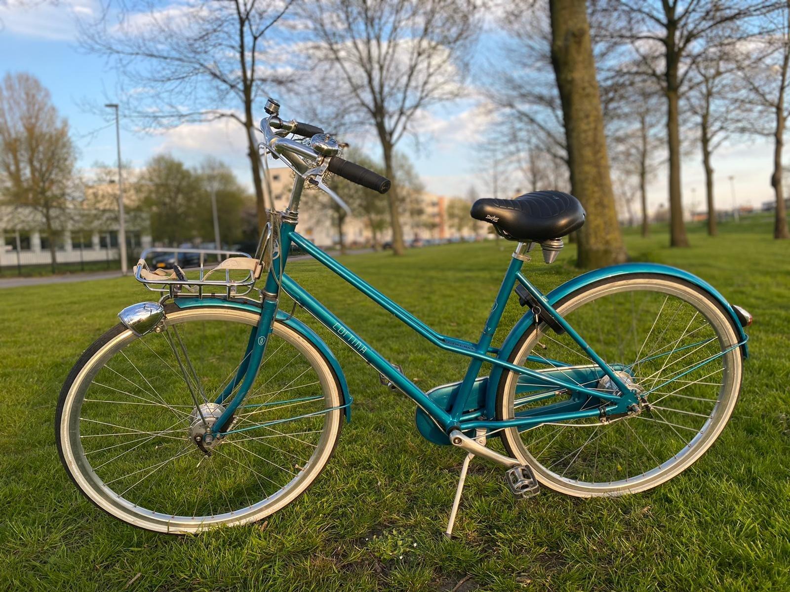 Cortina Olev 2016 Dames 50 Cm - Ocean Voor 275 € In Rotterdam, ZH |  Vondsten — Nextdoor