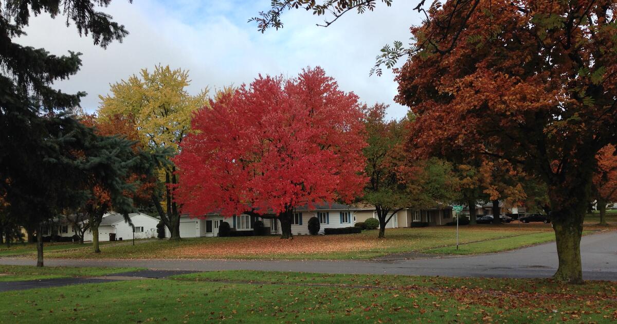 McGavin Ranch Fall Craft Fair for Free in Mesa, AZ For Sale & Free