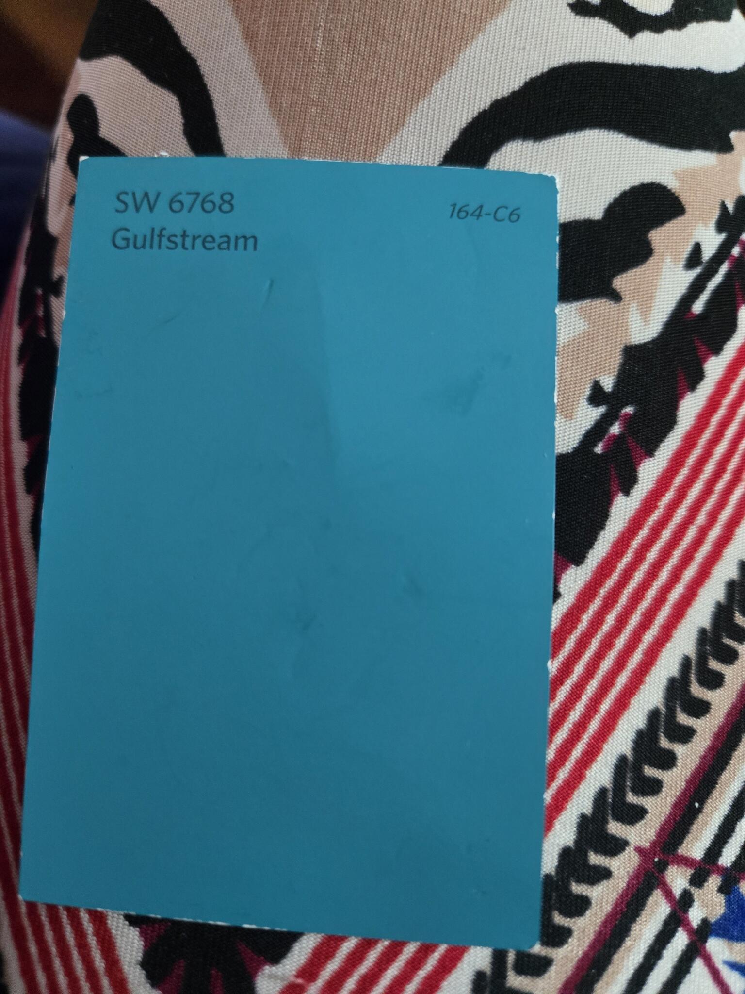 SW 6768 Gulfstream Paint Sample for Free in Tampa, FL | For Sale & Free ...