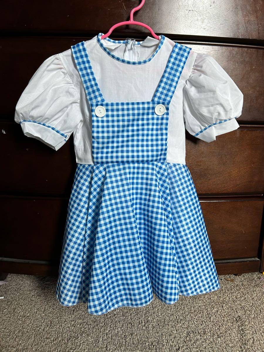 Dorothy Gale Costume