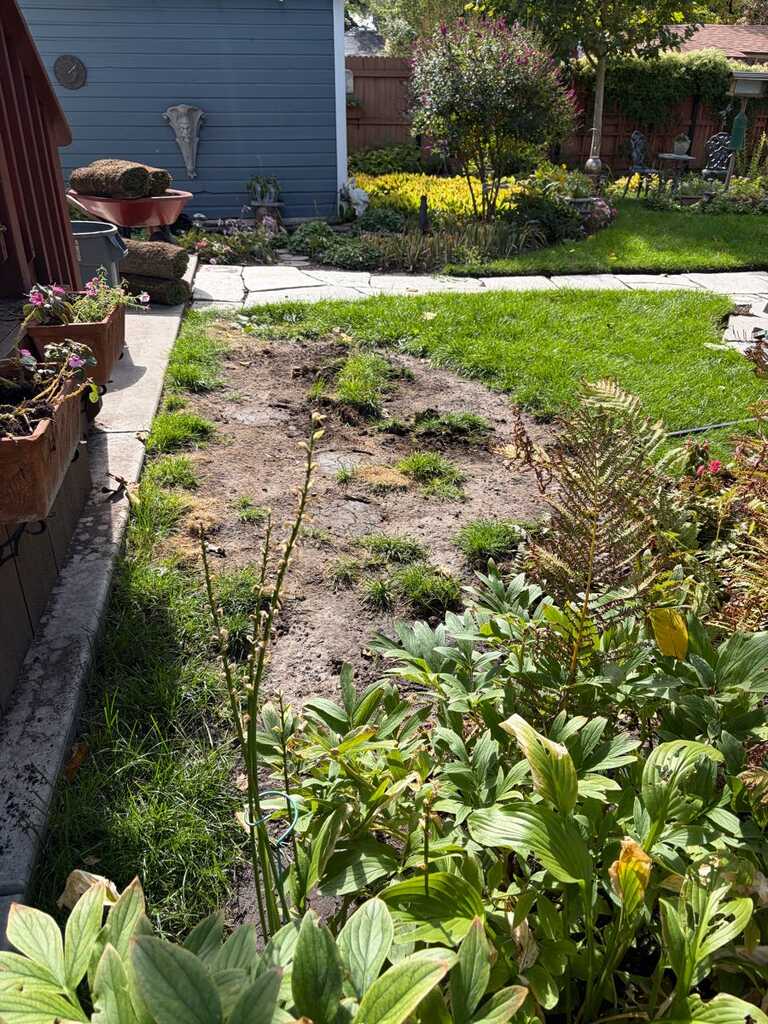 Before: Continue mow lawn and pre for winter ❄️ at (801) 793-3045 thanks neigh