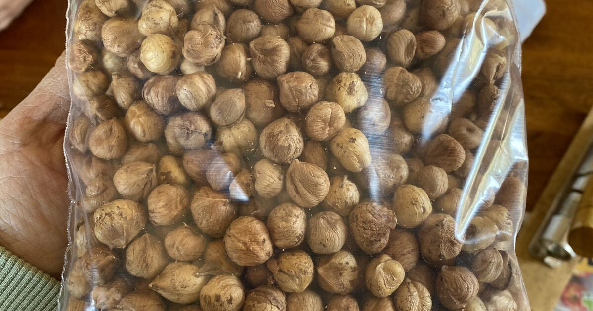 2023 shelled hazelnuts/filberts for 10 in Hillsboro, OR For Sale