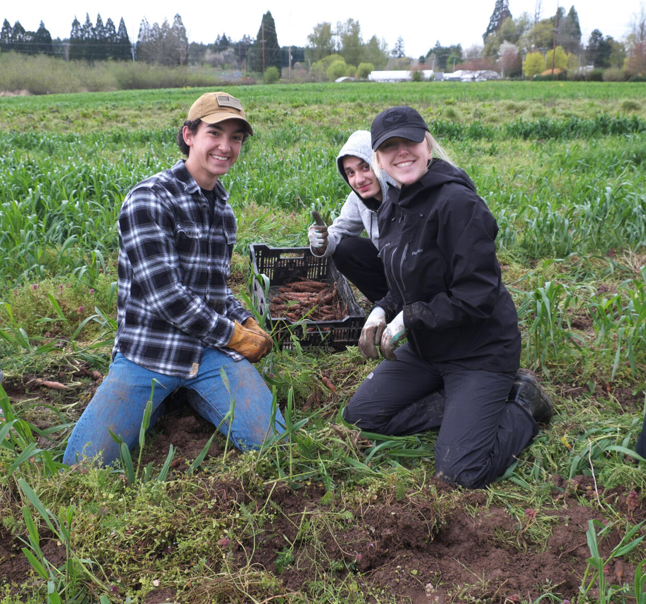 Lake Oswego Parks Bond Project Community Input (City of Lake Oswego