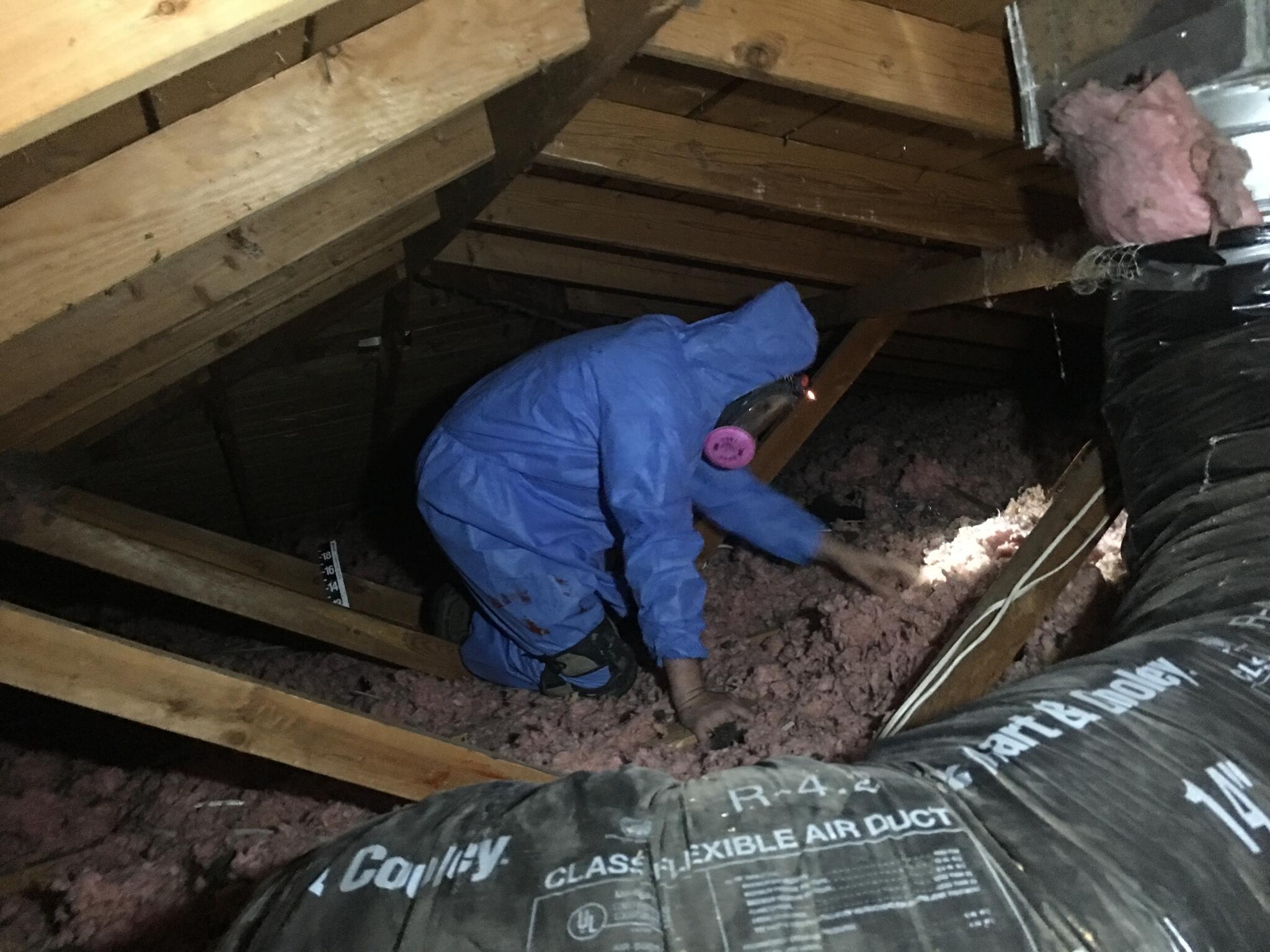 Energy Savings for Residents National Weatherization Day