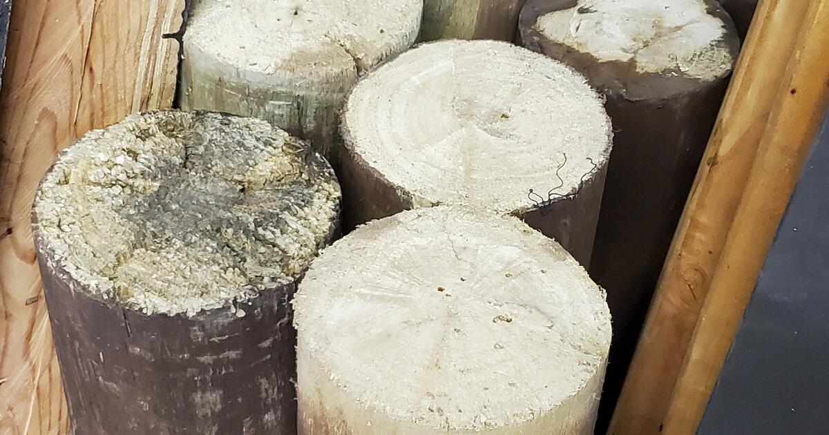 for your garden peeler core chunks for Free in Richmond, CA Finds