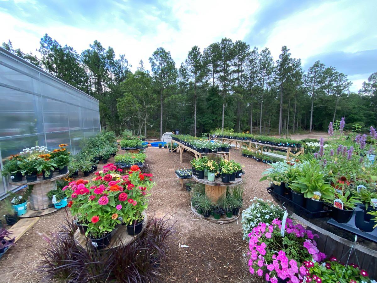 Grass Roots Garden Center - Graniteville, SC - Nextdoor