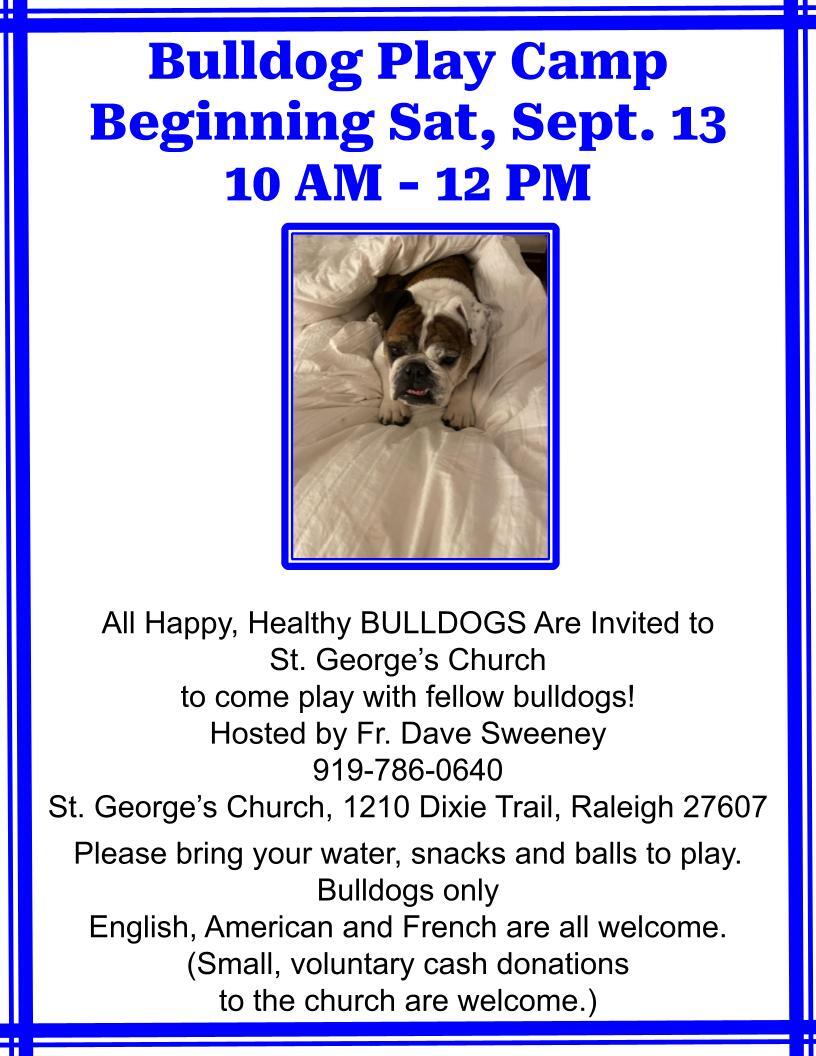 Bulldog Play Camp,...