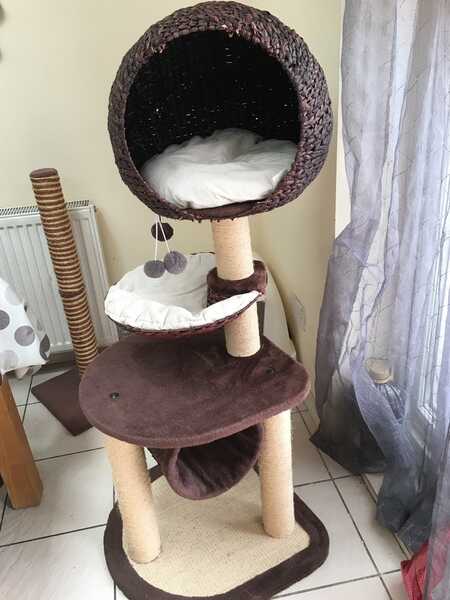 Hillary high top sleeper cat post
