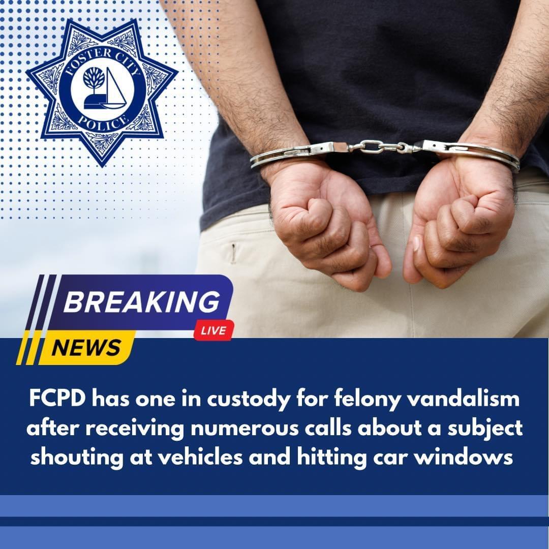 Subject Arrested for Felony Vandalism (Foster City Police Department
