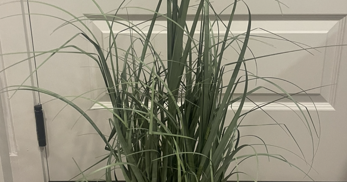 Artificial plant for 7 in Raleigh, NC For Sale & Free — Nextdoor