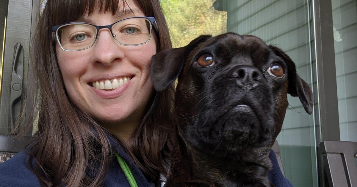 Pet sitter & Dog Walker for Free in Las Cruces, NM For Sale & Free