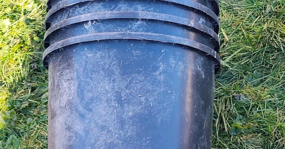 Set Of 5 Large Black Plant Pots For Free In Fort Mohave AZ For Sale Set of 5 large black plant pots for free in fort mohave az for sale