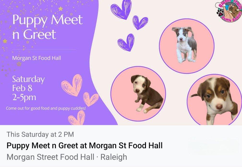 Puppy Adoption Event