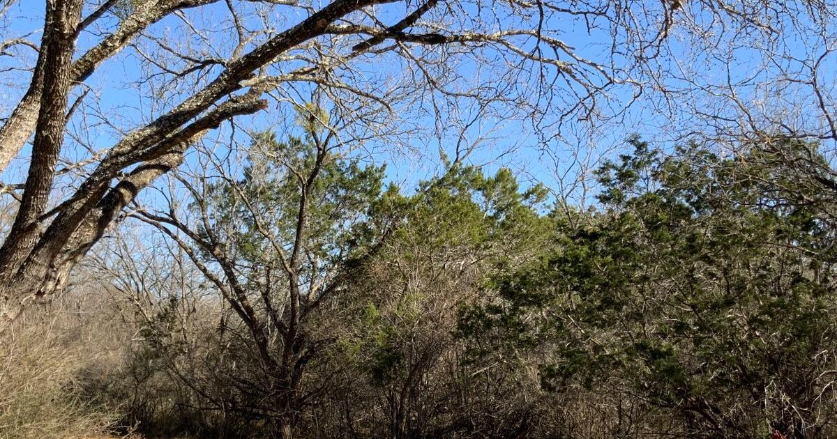 Home for rent for 1000 in Marble Falls, TX For Sale & Free — Nextdoor