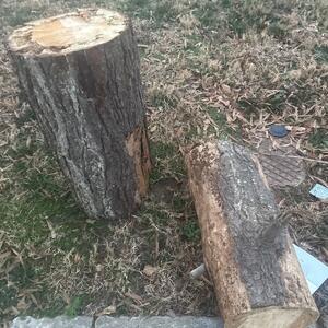 Tree Logs for Freee