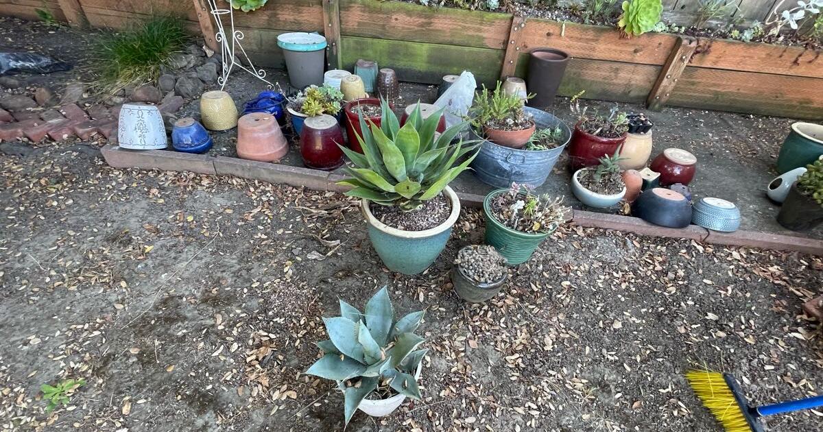 Garden pots in Richmond, CA Finds — Nextdoor