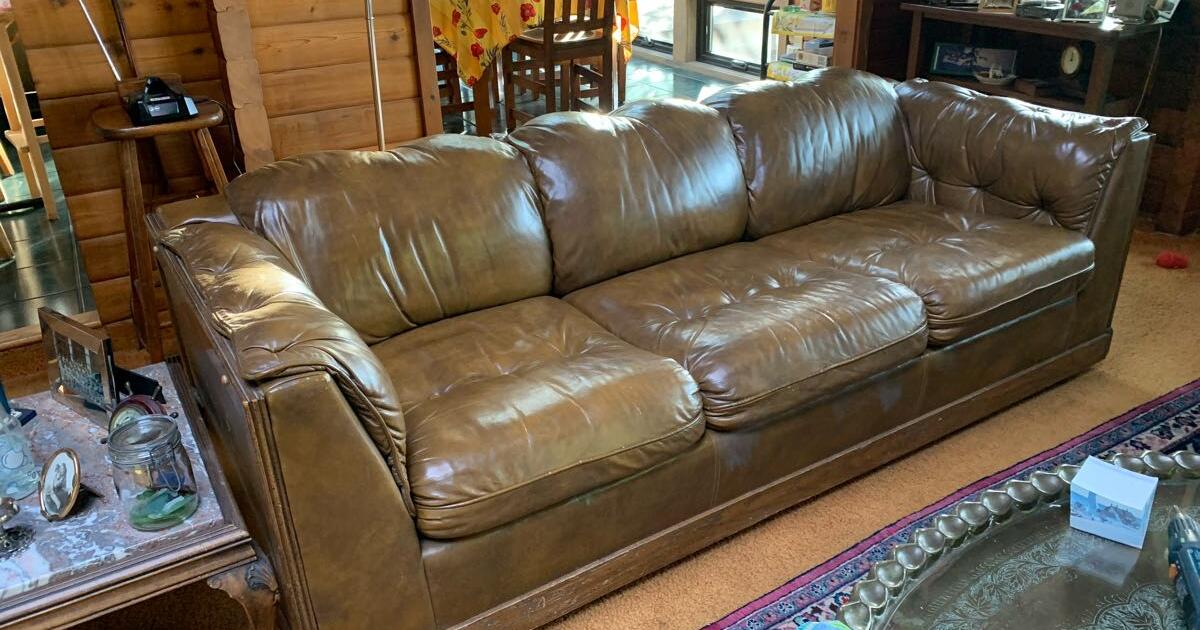Leather Hide a bed for 50 in Quilcene, WA For Sale & Free — Nextdoor