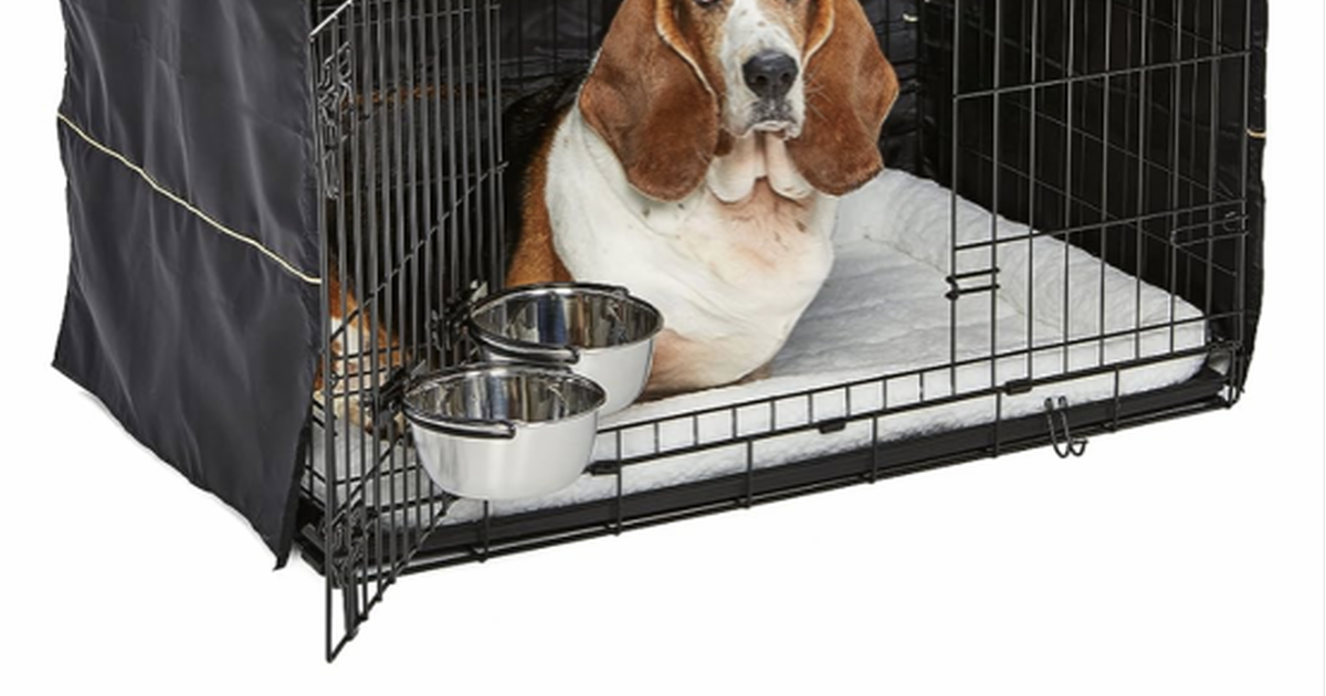 Dog crate for Free in Pittsburgh, PA Finds — Nextdoor