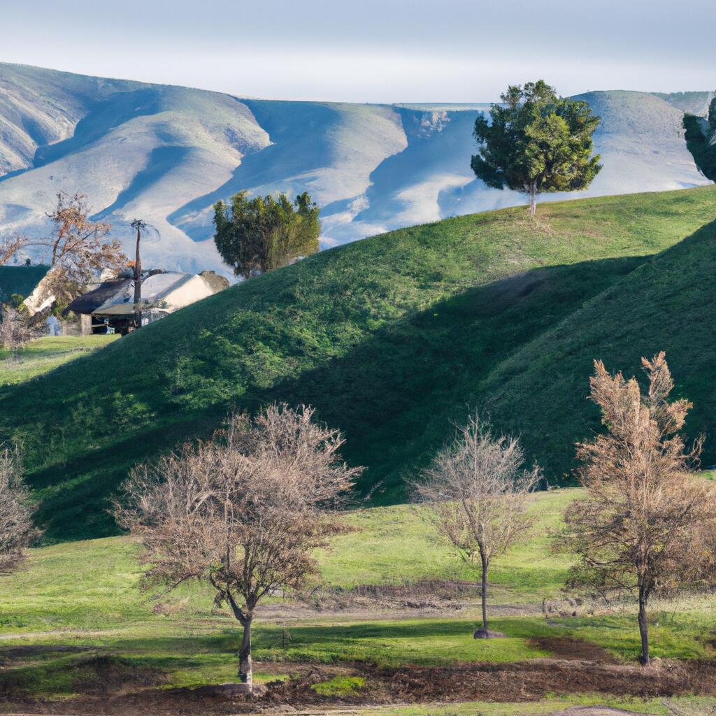 Country Oaks, Tehachapi News, Crime, Lost Pets, Free Stuff