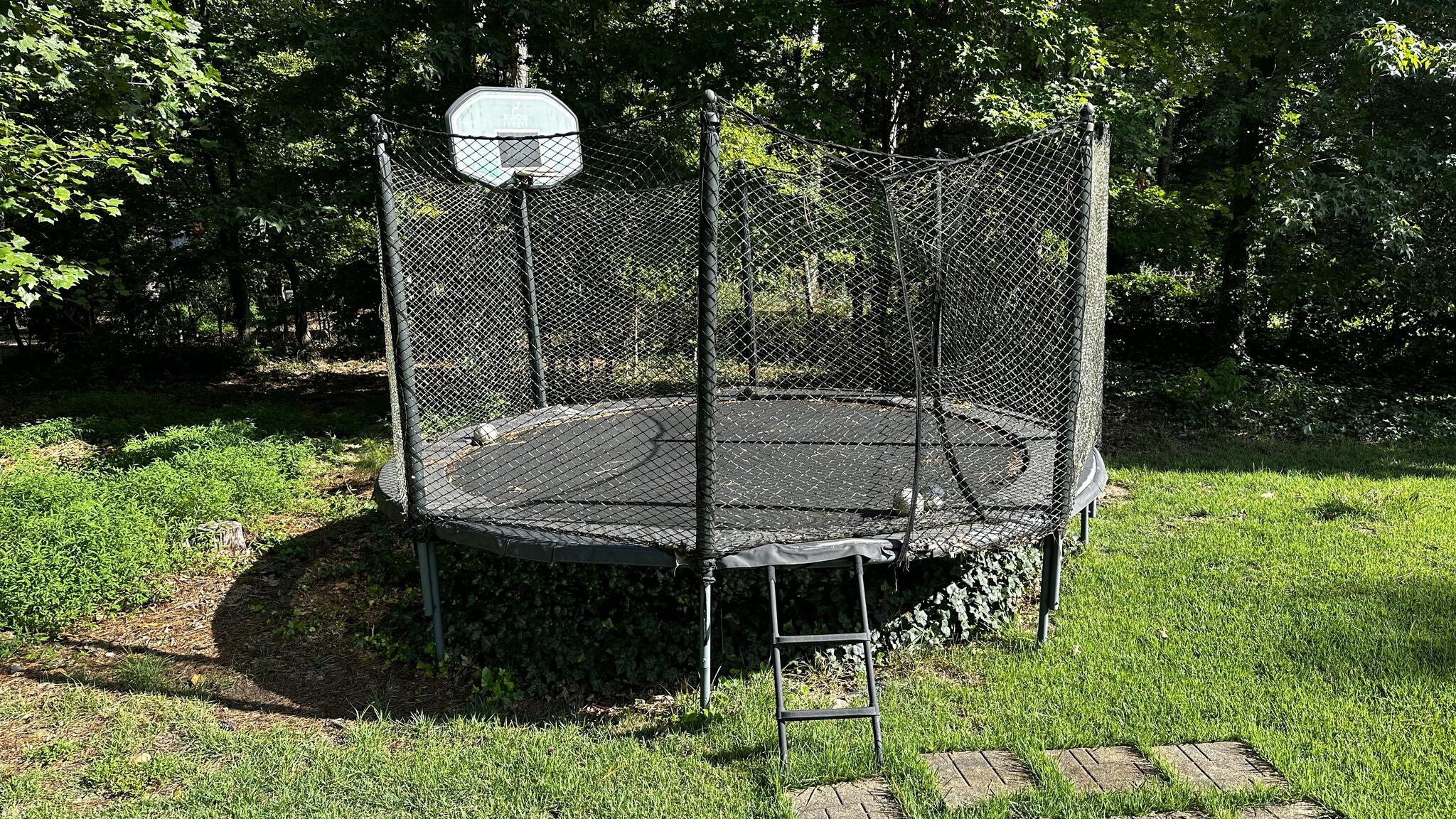 Free Trampoline