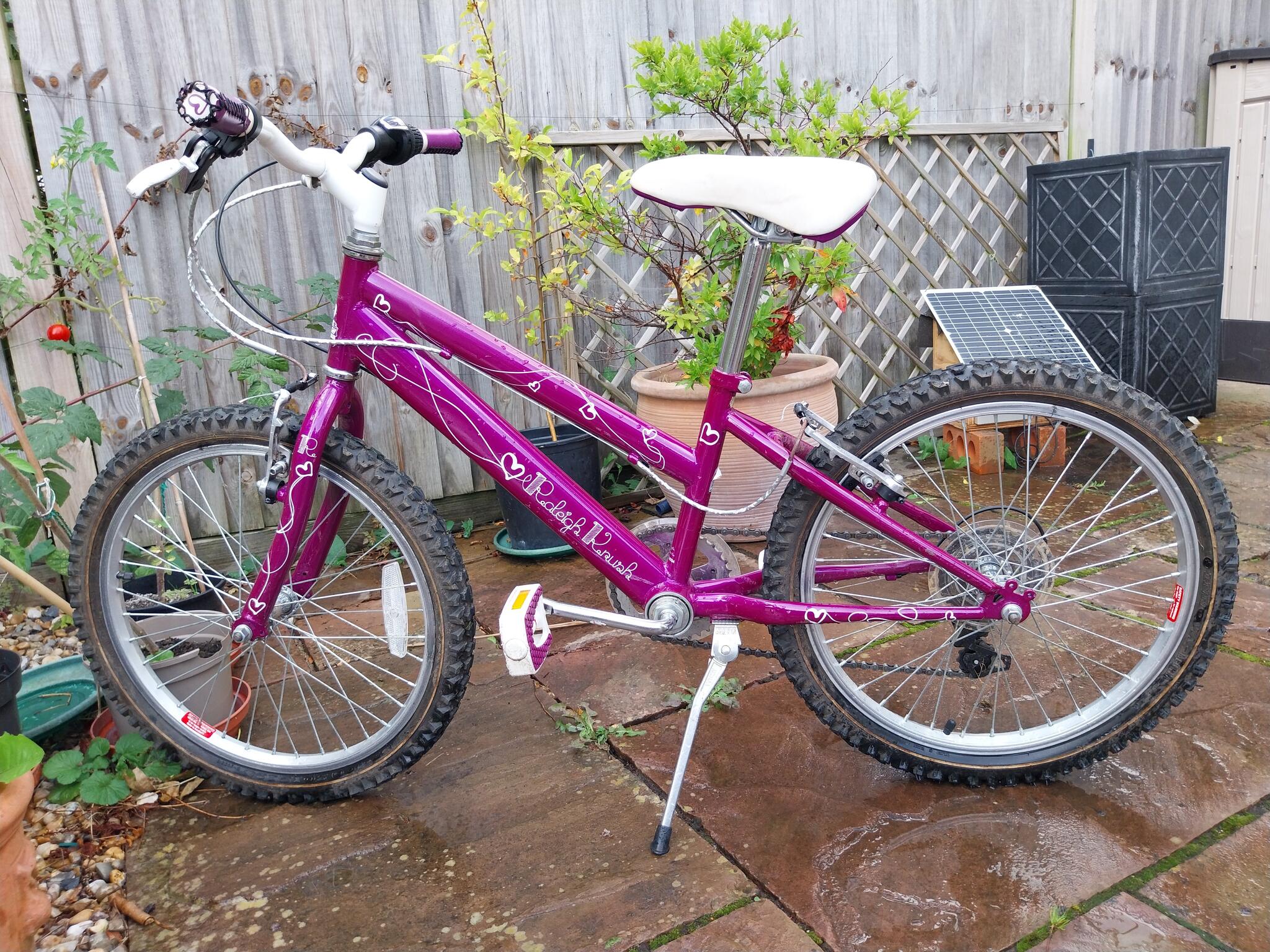 Raleigh krush 20 discount purple