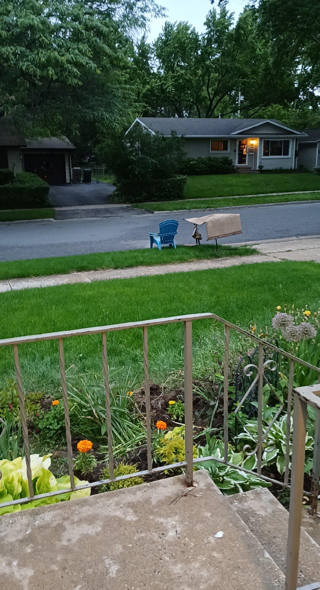 Little Elvis and another Elvis figure for Free in Madison, WI For