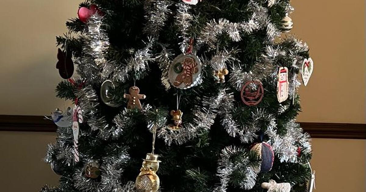 Free Christmas trees in Goldsboro, NC For Sale & Free — Nextdoor