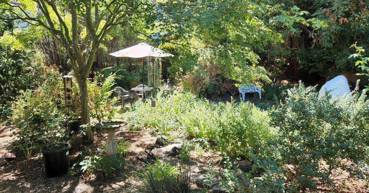 San Anselmo home for rent 3 bedroom, 1 bath for 4000 in San Anselmo