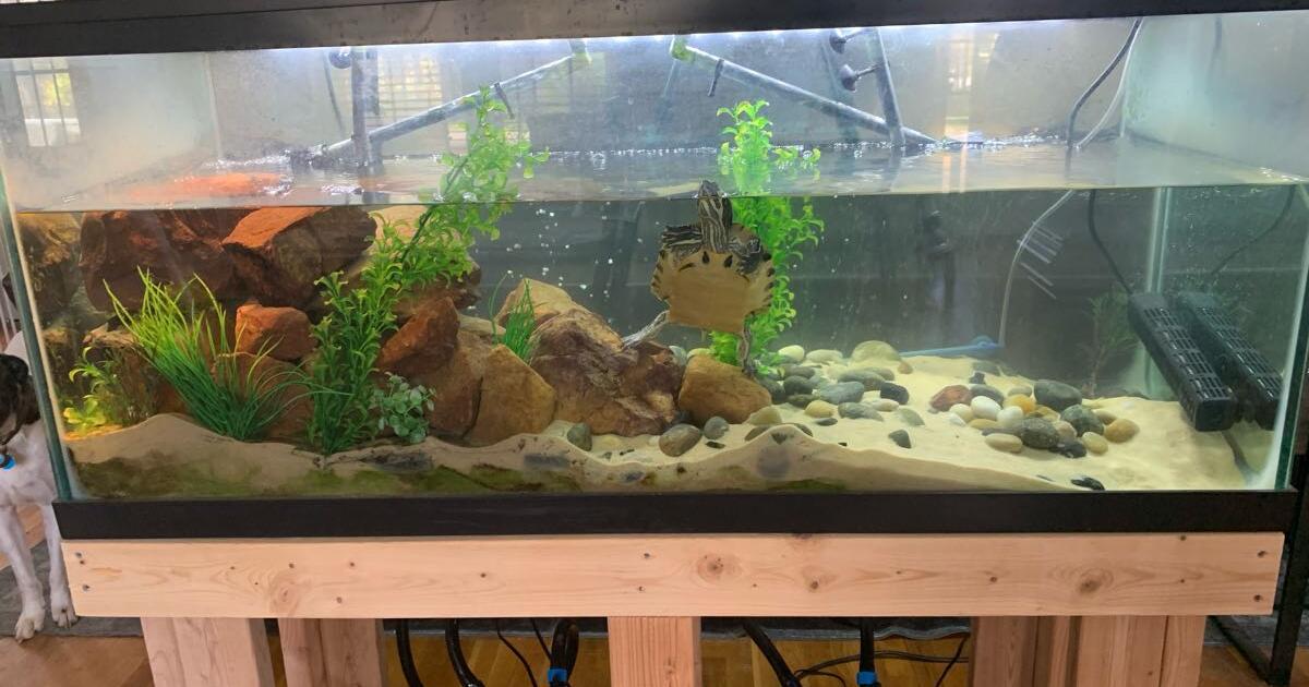 75 Gallon Turtle Aquarium for $400 in Clayton, NC | For Sale & Free ...