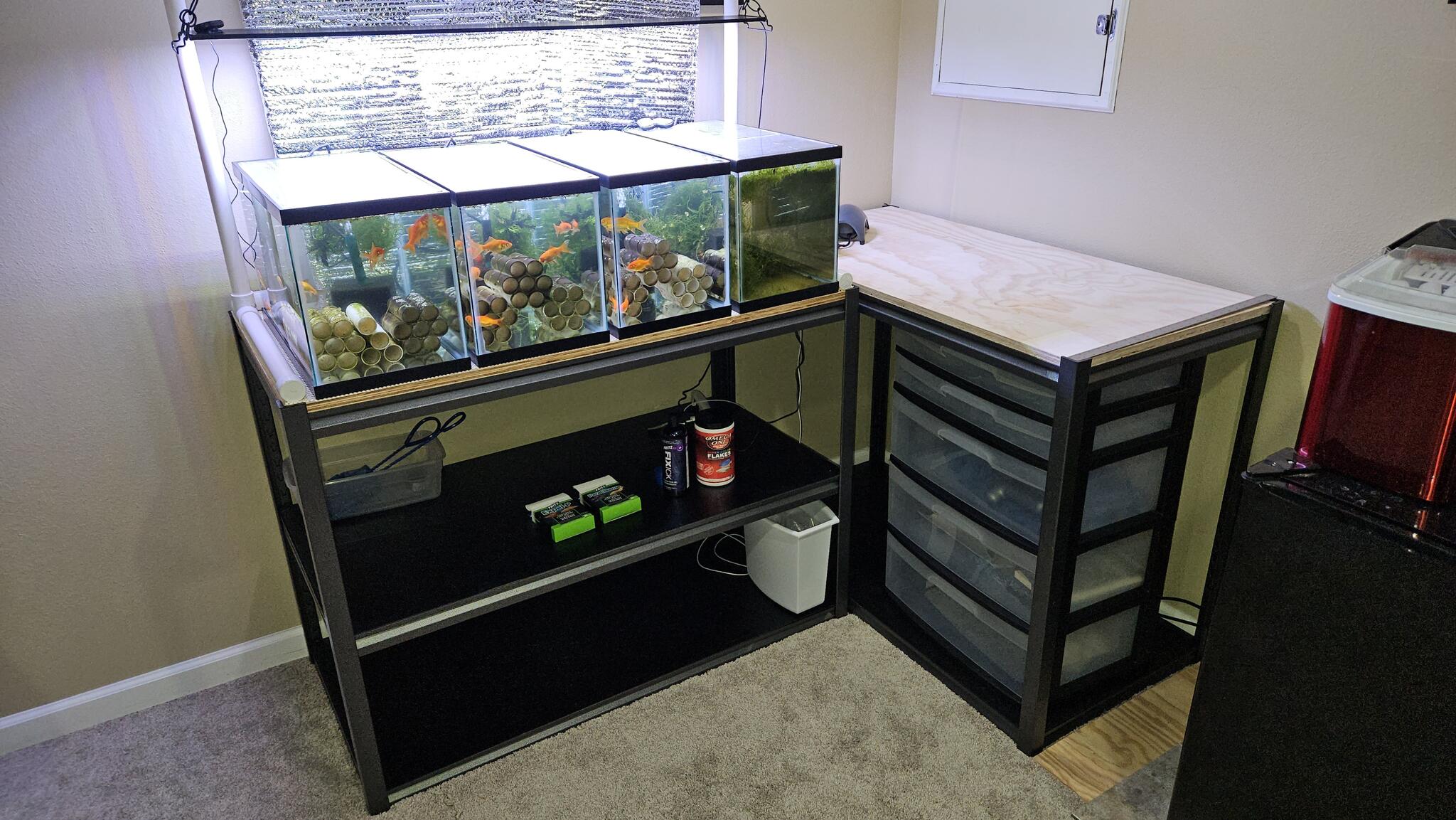 Aquarium Quarantine Setup for 225 in St. Peters, MO For Sale & Free — Nextdoor