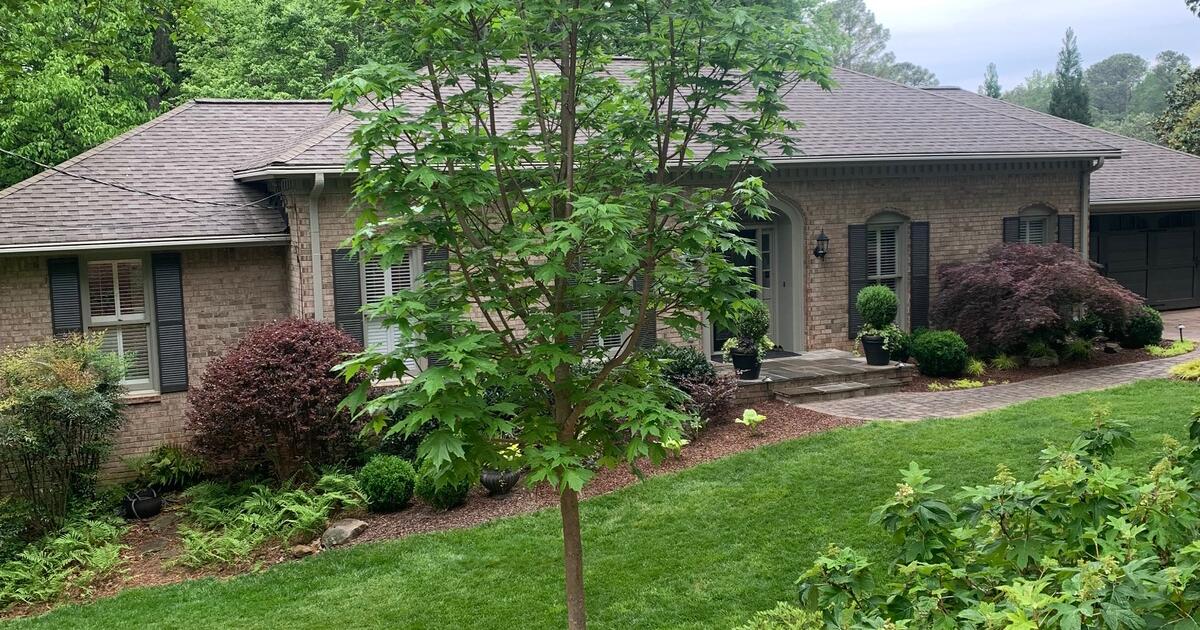 Legacy Sugar Maple for Sale for 30 in Atlanta, GA Finds — Nextdoor