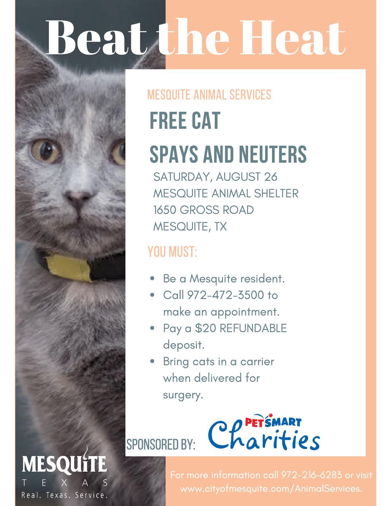 Mesquite Animal Services offers free spay and neuter clinic for cats (City of Mesquite) — Nextdoor — Nextdoor Mesquite Animal Services offers free spay and neuter clinic for cats (City of Mesquite) — Nextdoor — Nextdoor