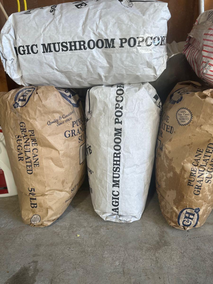 Popcorn kernals, old maids, popcorn, chicken feed for Free in Phoenix