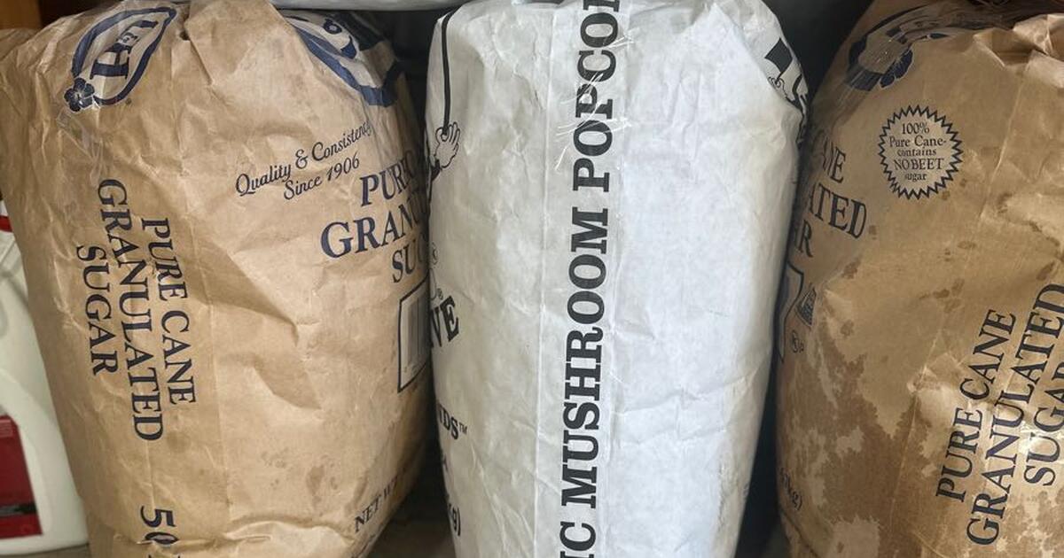 Popcorn kernals, old maids, popcorn, chicken feed for Free in Phoenix