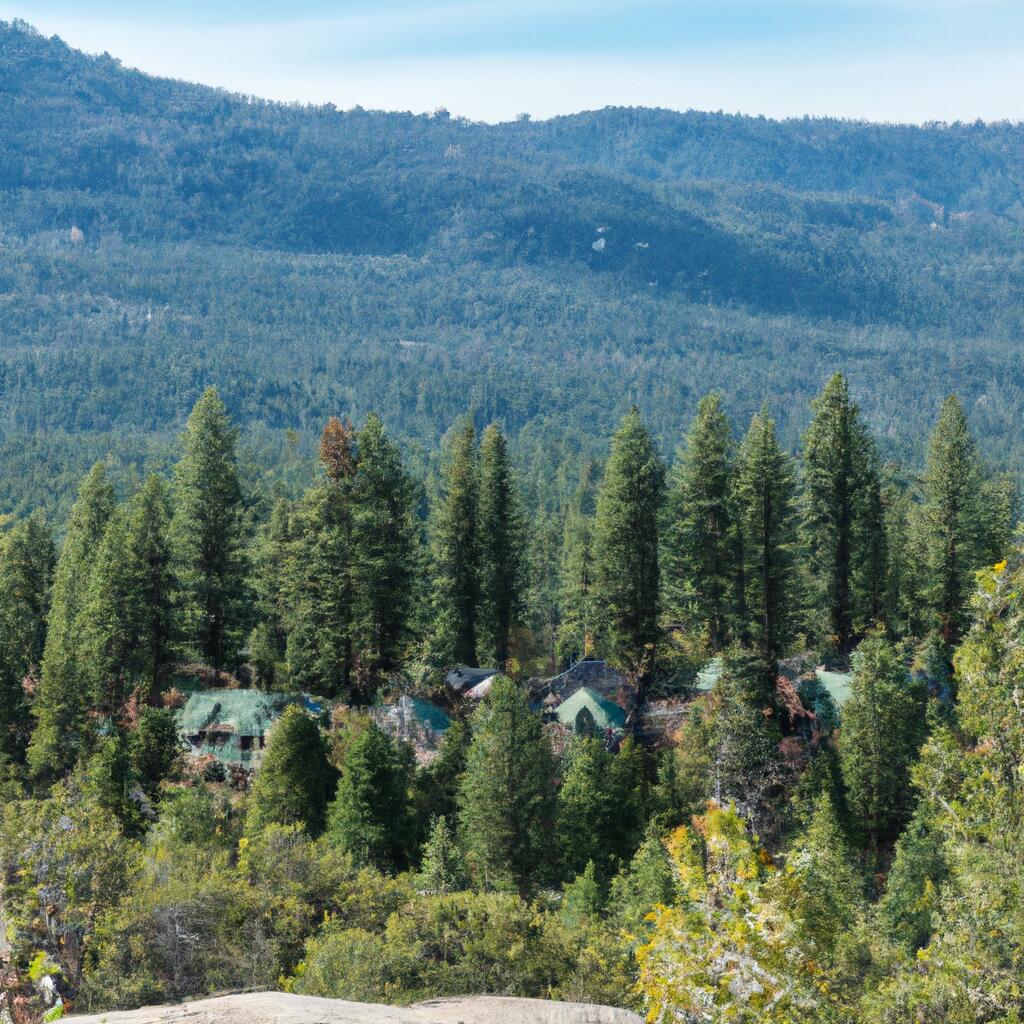 Idyllwild Pine Cove, Idyllwild | Everything You Need to Know
