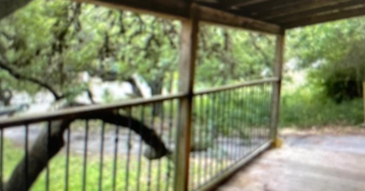 Single Story Family home for RENT for 3000 in Spring Branch, TX For