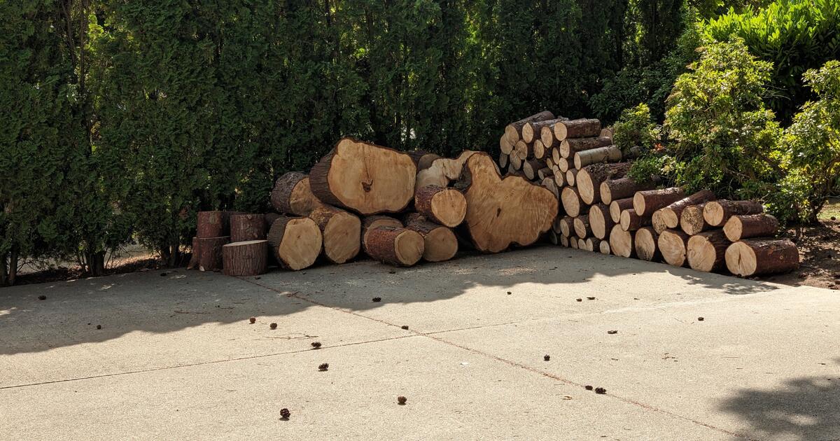 Free Firewood for Free in Bothell, WA For Sale & Free — Nextdoor