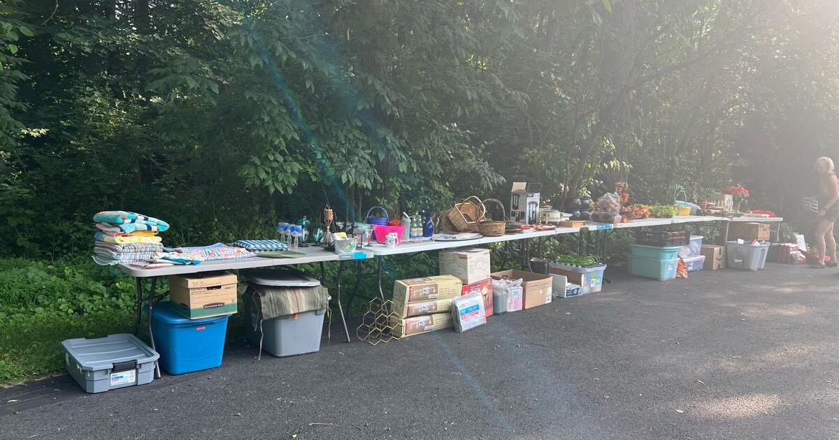 Moving Sale for 1234 in Germansville, PA For Sale & Free — Nextdoor