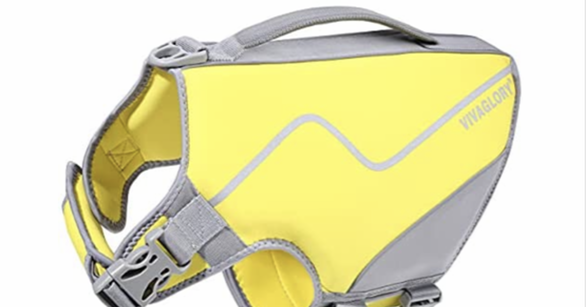 Dog life vest for 10 in Grand Junction, CO For Sale & Free — Nextdoor