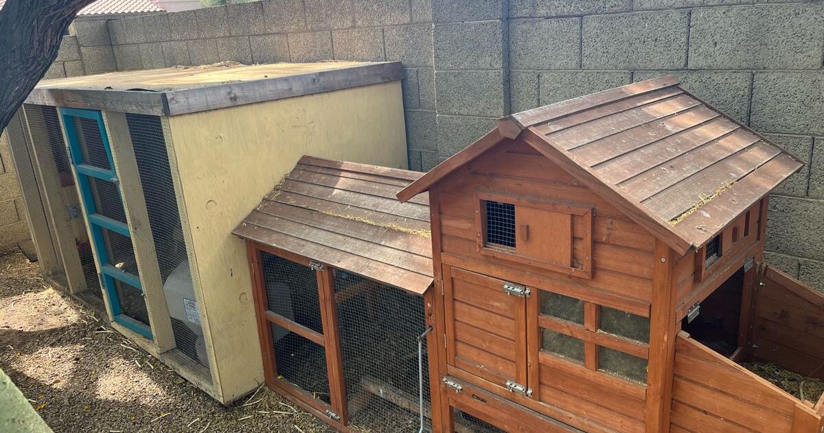 Free chicken coop and run for Free in Scottsdale, AZ For Sale & Free — Nextdoor