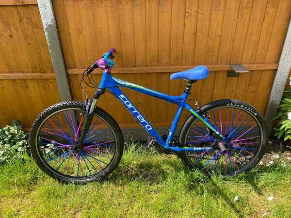 Carrera valour discount blue and green