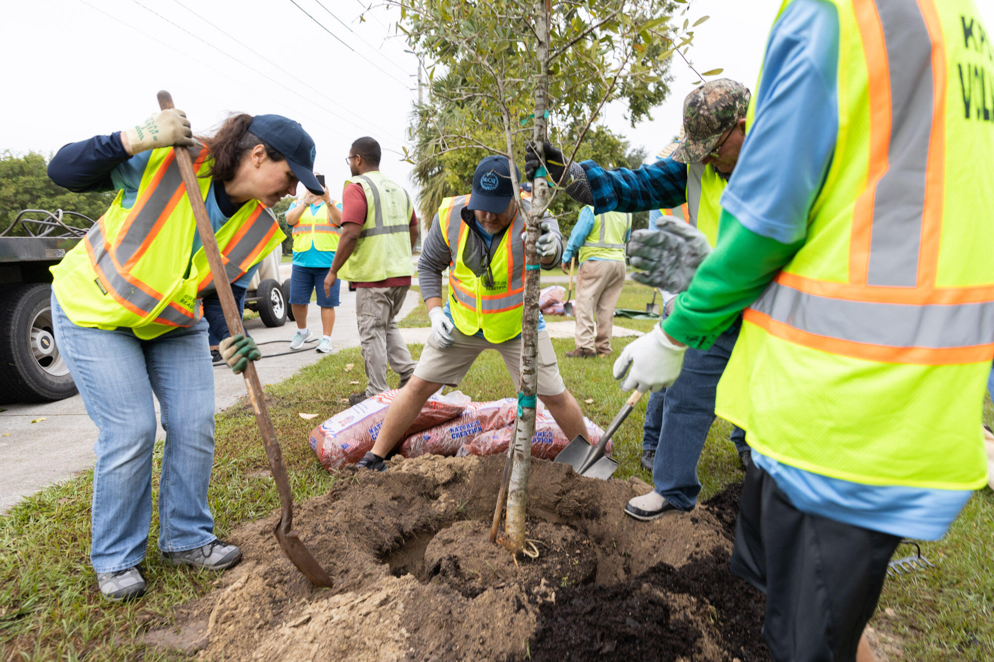Plant a tree with KPSLB to celebrate Florida Arbor Day on Jan. 20