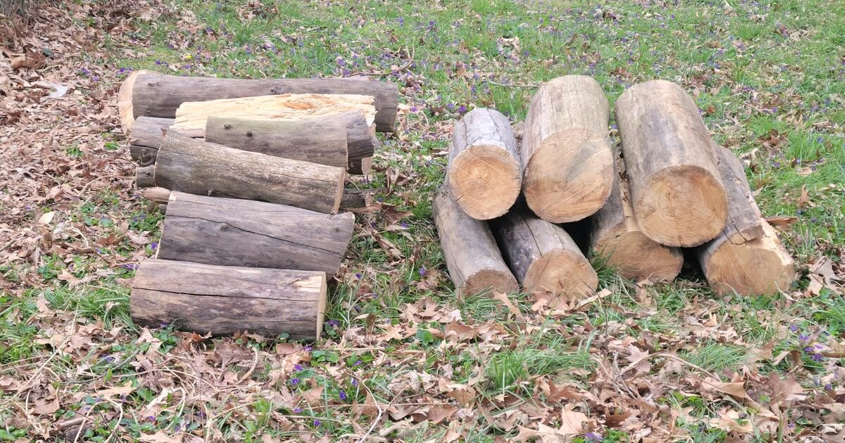 FREE FIREWOOD for Free in Clarksville, TN Finds — Nextdoor