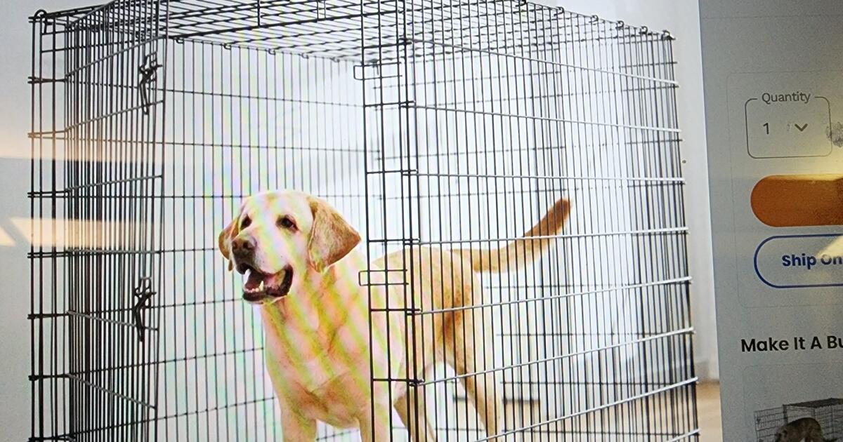Frisco XXL dog crate for 70 in Nokomis, FL Finds — Nextdoor