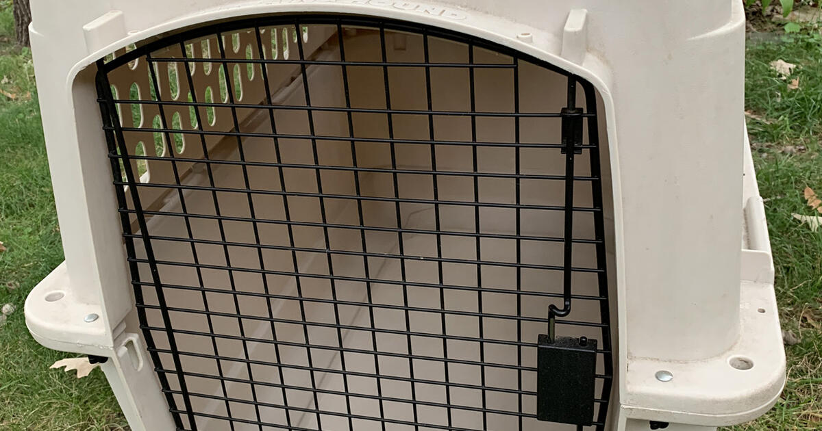 Bargain Hound Classic Pet Kennel Medium 36"L x 24"W x 26.5"H for 40 in Minneapolis, MN For