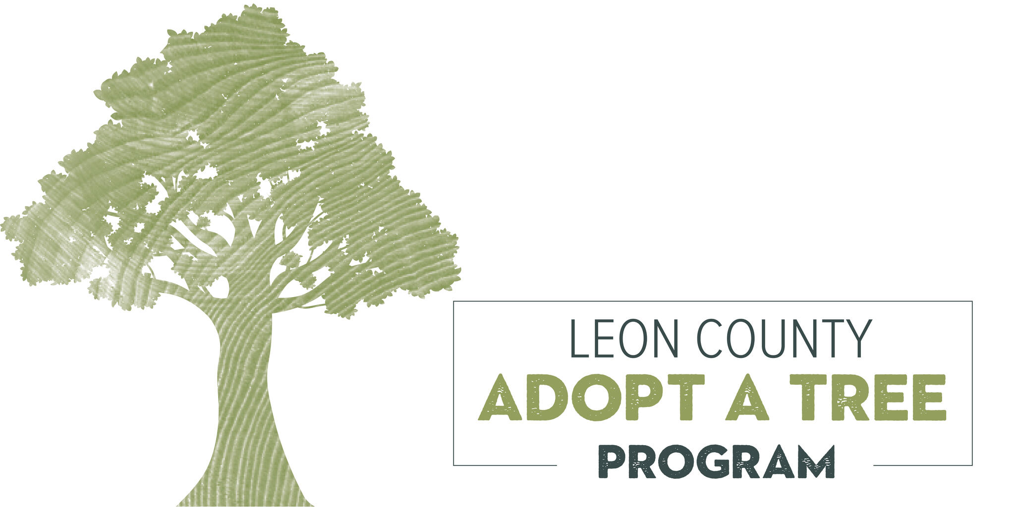 Support Local Ecosystem and Plant Native Species with Leon County’s