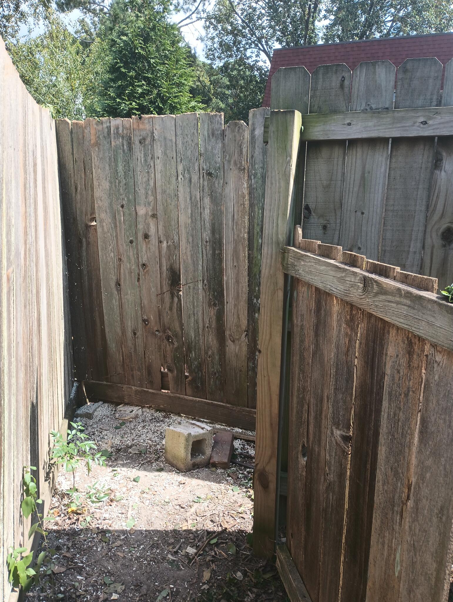 Pecan Gardens, Virginia Beach News, Crime, Lost Pets, Free Stuff