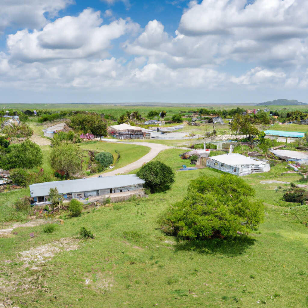 Prospect, Dry Prong News, Crime, Lost Pets, Free Stuff