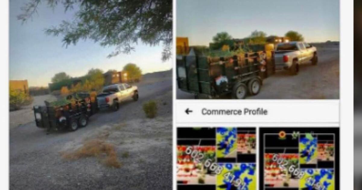 looking for jobs on the side anything from landscaping work for 20 in